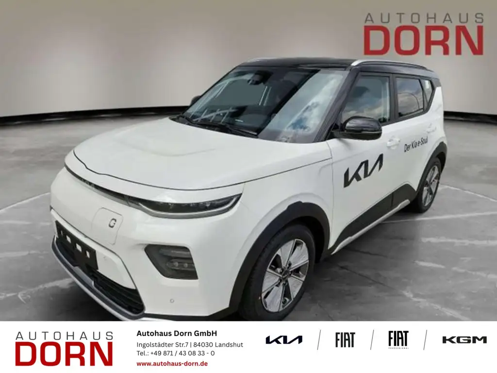 Kia e-Soul E-Soul Inspiration WP SUV-/Leder-Paket