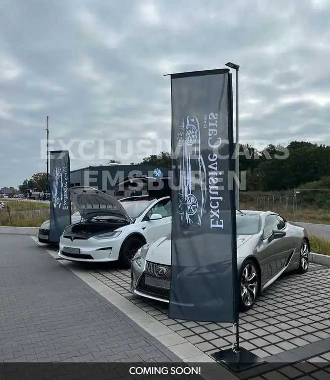 Tesla Model S MODEL S PALLADIUM | FULL SELF DRIVE AI | MATRIX