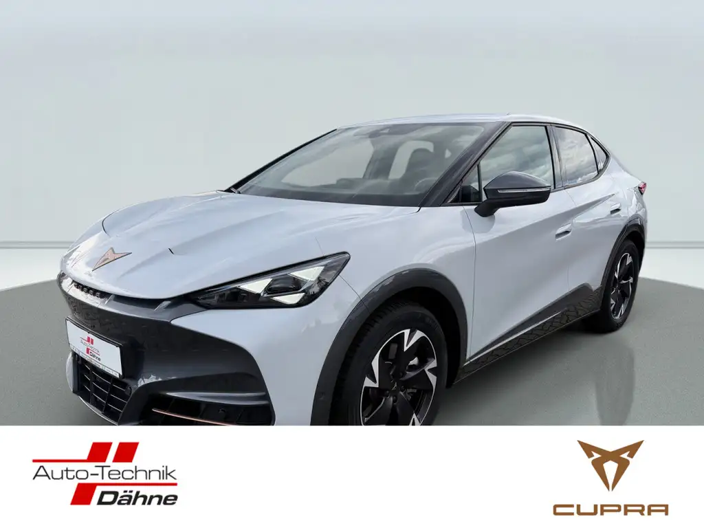 CUPRA Tavascan 210 kW Endurance NAVI ACC LED 360°