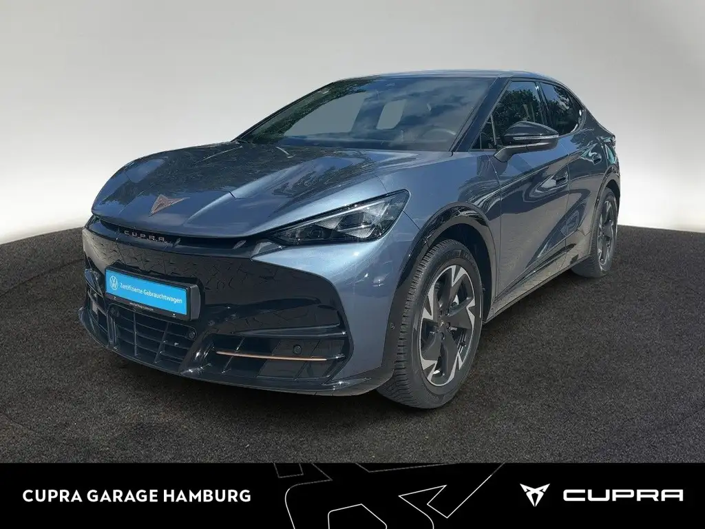 CUPRA Tavascan Endurance ACC CarPlay Kessy Kamera Navi