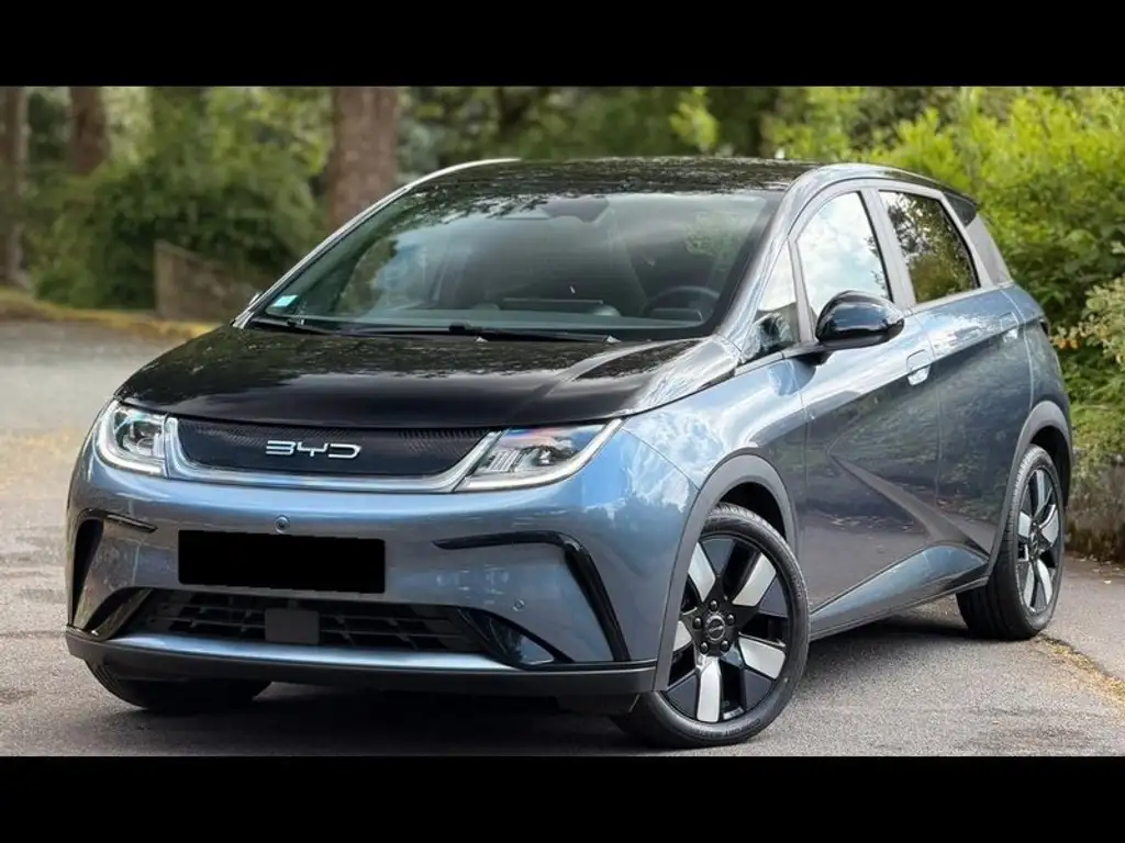 BYD Dolphin Design