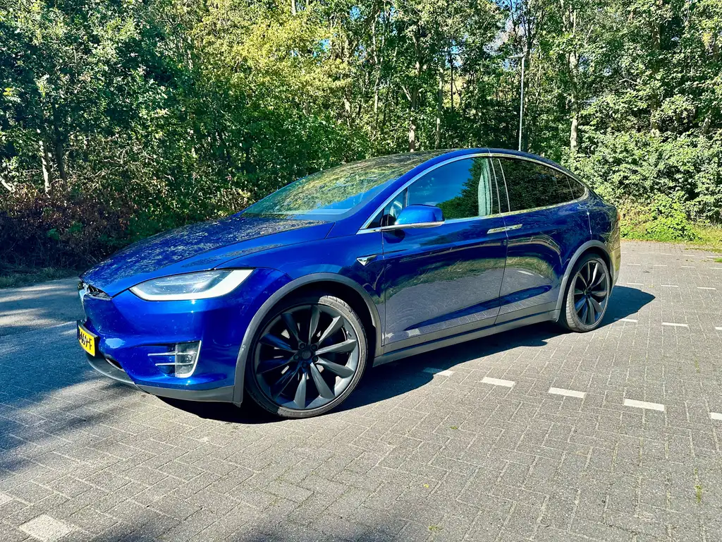 Tesla Model X Model X 100D