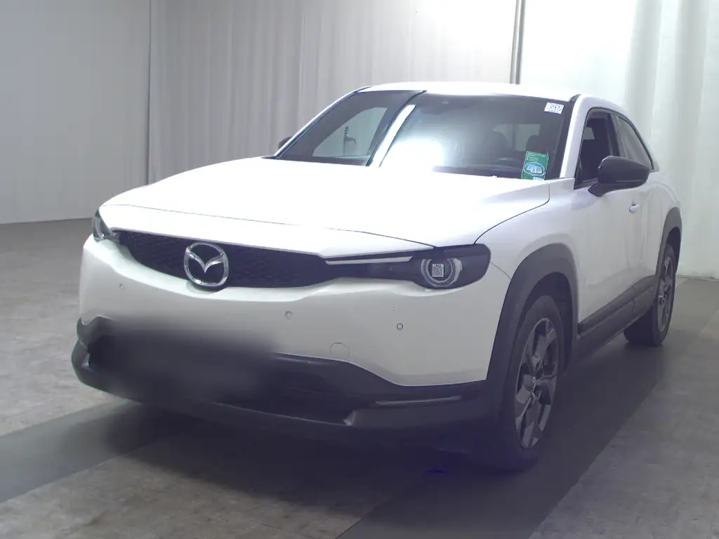 Mazda MX-30 e-SKYACTIV T-Leder Navi LED Head-up RFK