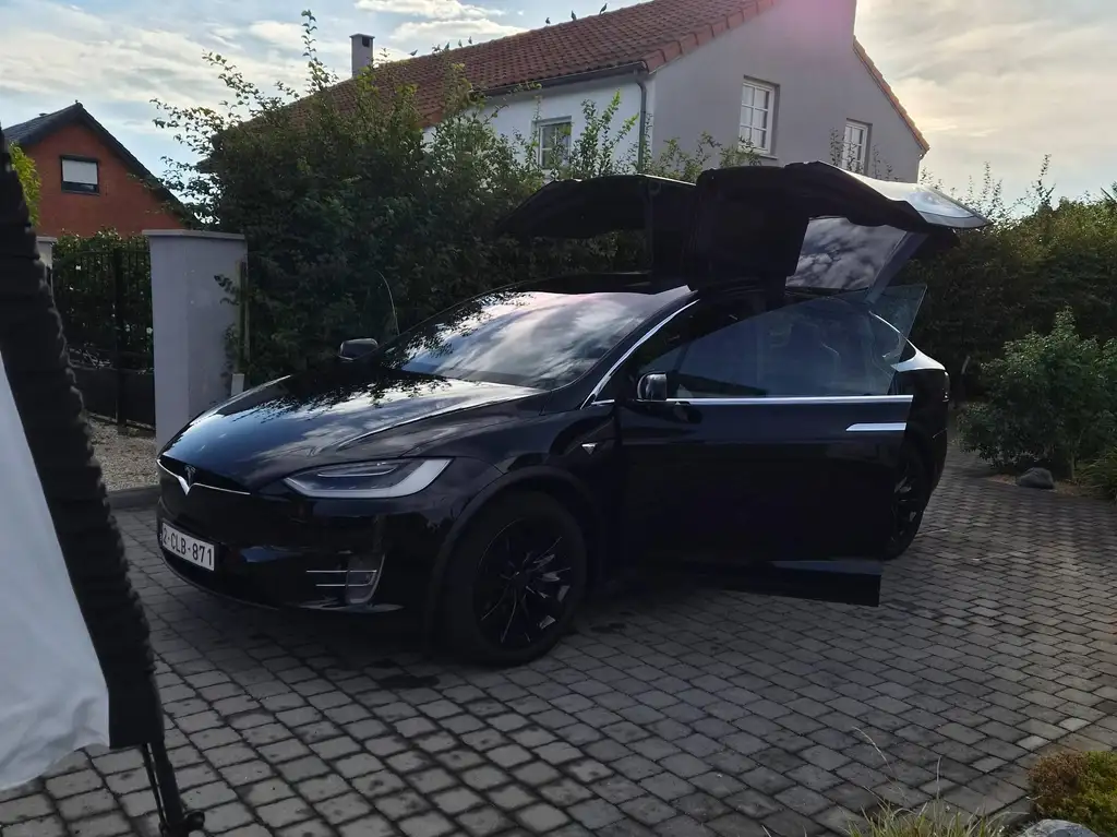 Tesla Model X Model X 100 kWh Dual Motor
