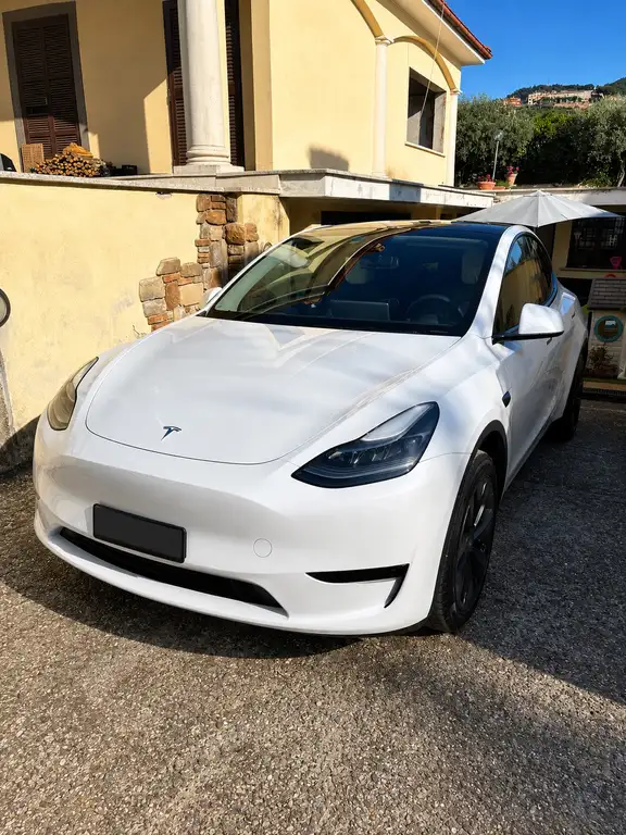 Tesla Model Y Single Motor rwd