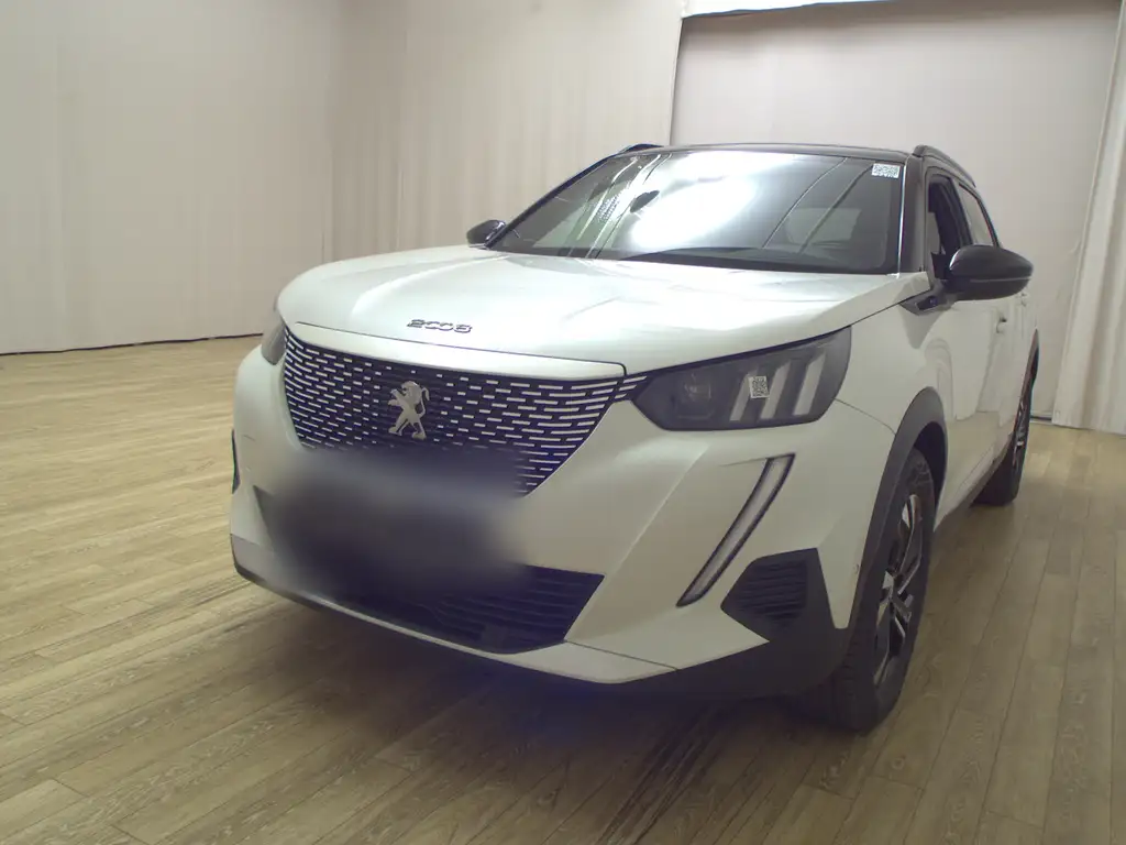 Peugeot e-2008 e-2008 GT-Line T-Leder Navi LED Shz RFK