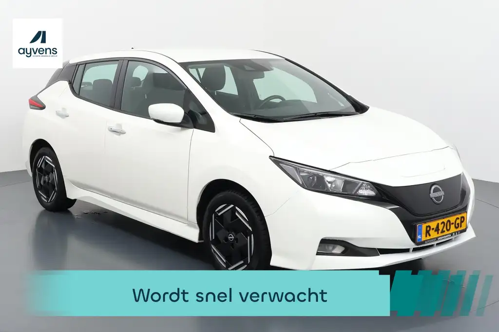 Nissan Leaf Acenta 40 kWh Slim en zuinig door de stad