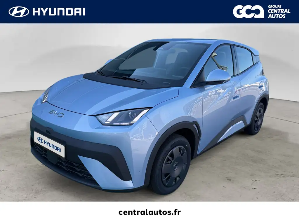BYD Dolphin Surf Dolphin Surf 30 kWh 88 ch