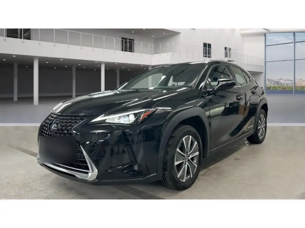 Lexus UX 300e Premium Kamera App-Navi LED Leder Sitzklima