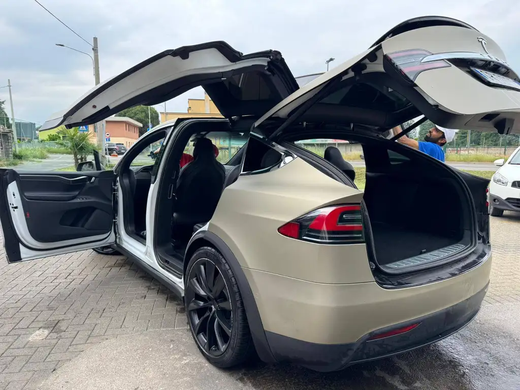 Tesla Model X Model X 100 D