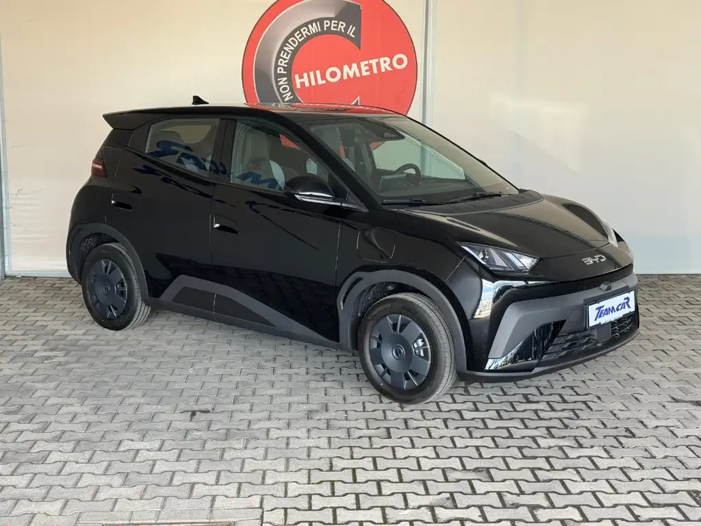 BYD Dolphin Surf 30KWH Active KM ZERO, Pelle