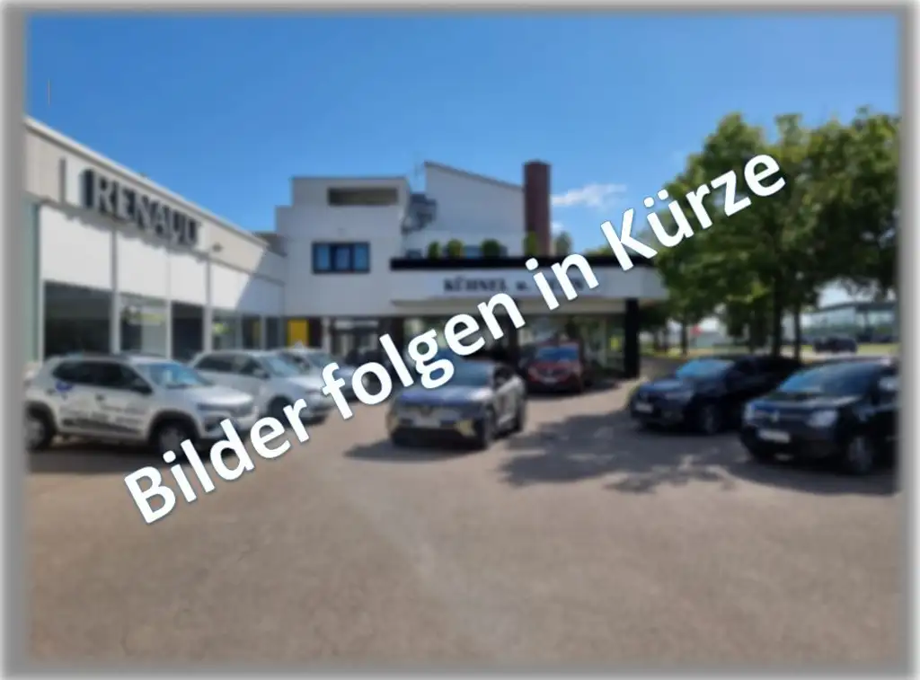 Renault Twizy Life INKL. BATTERIE !! Top Zustand/wenig KM
