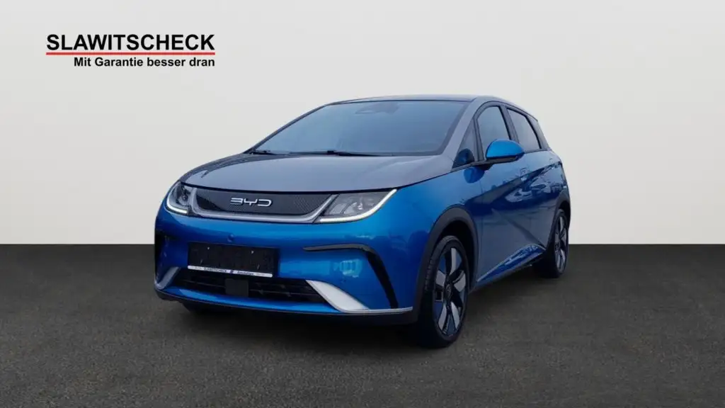 BYD Dolphin Design