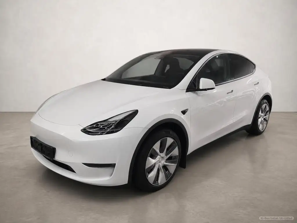Tesla Model Y Long Range Dual AWD Long Range Autopilot