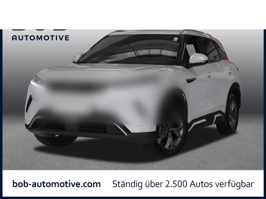 BYD Atto 2 Active 8-fach bereift Pano Navi Leder RFK