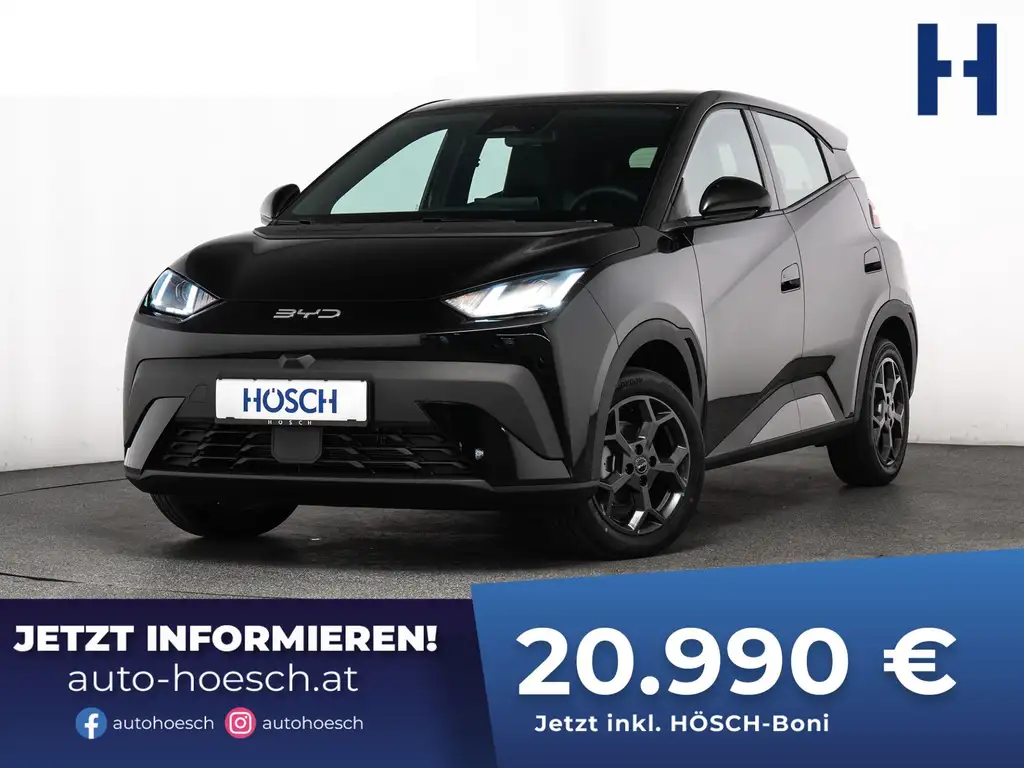 BYD Dolphin Surf BOOST 43 kWh LEDER KAMERA JETZT SICHERN