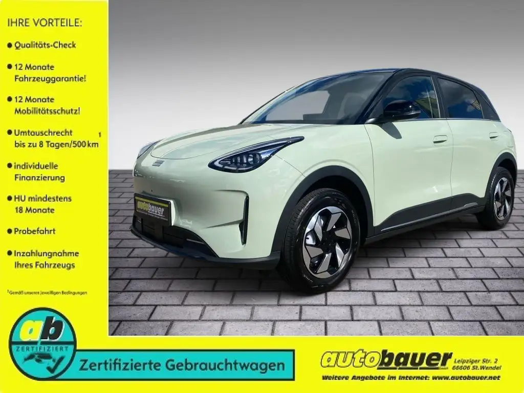 Geely Sonstige E2 85 kW Ultra