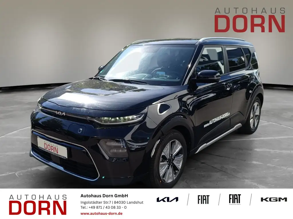 Kia e-Soul E-Soul Inspiration WP SUV-/Leder-Paket