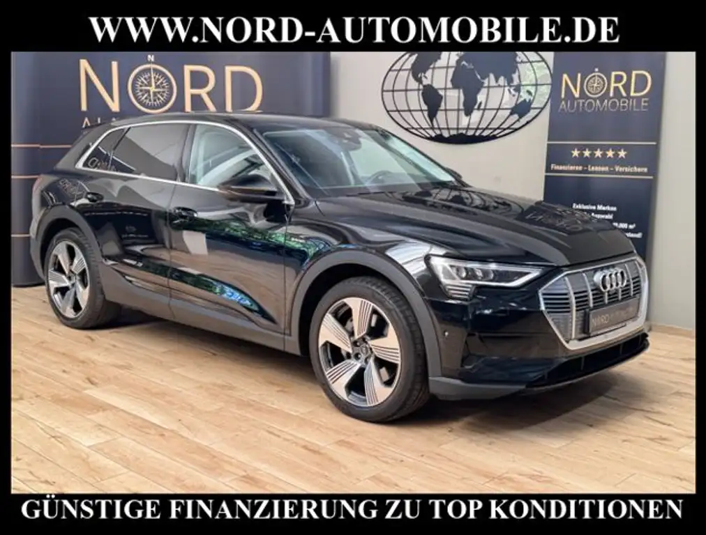 Audi e-tron 55 QU.Leder/AHK/Side&Lane/LED/21