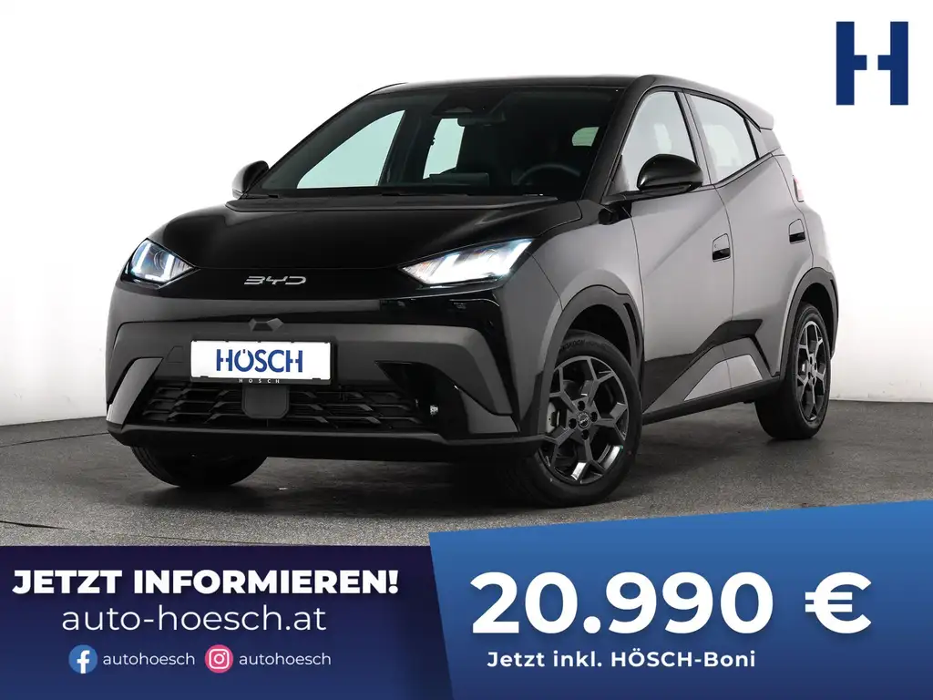 BYD Dolphin Surf BOOST 43 kWh LEDER KAMERA ASSISTENZ