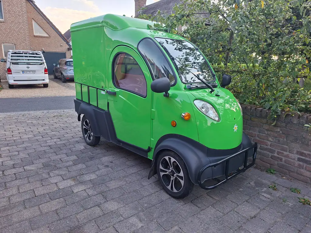 Sonstige Sonstige Frosch Max Van