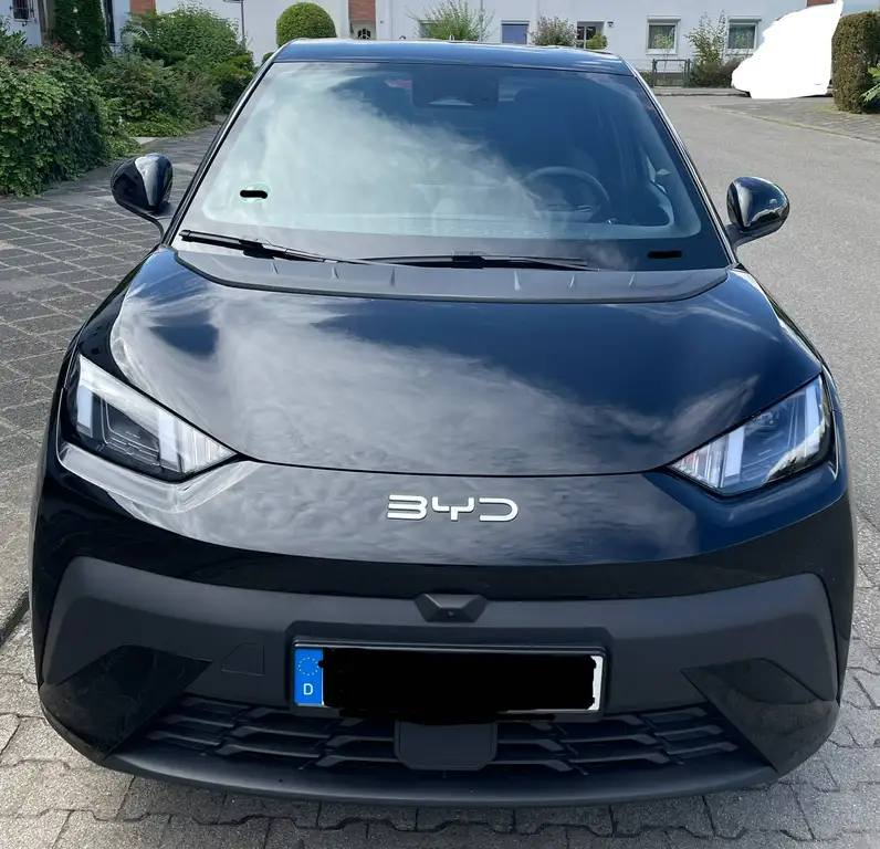BYD Dolphin Surf DOLPHIN SURF Comfort