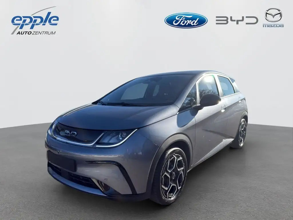 BYD Dolphin Comfort (EM2E)