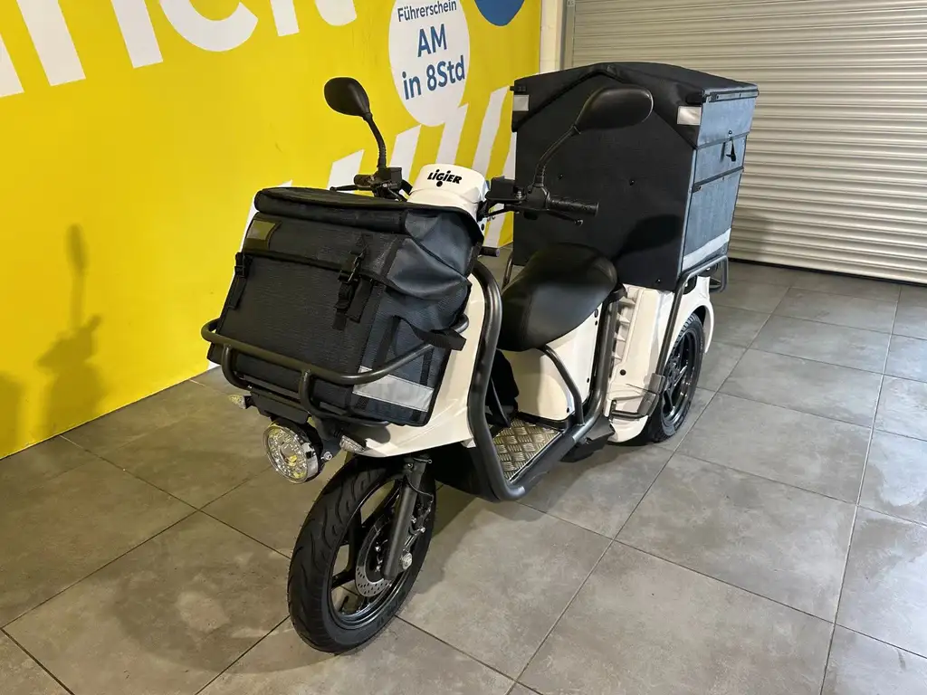 Ligier Sonstige Professional Pulse 3 L2e 8,2 kW
