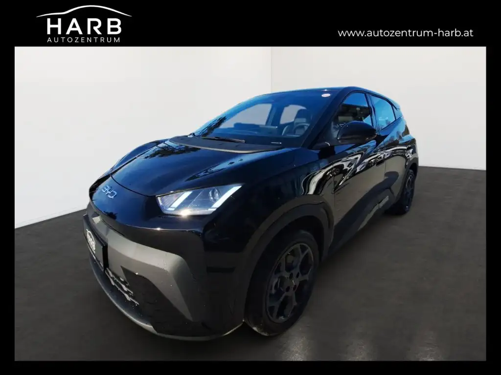 BYD Dolphin Surf Boost