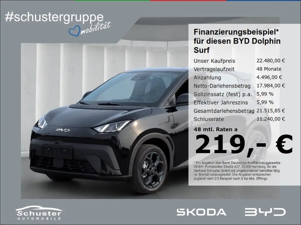 BYD Dolphin Boost*ACC Navi R-Kam Leder el.Sitze