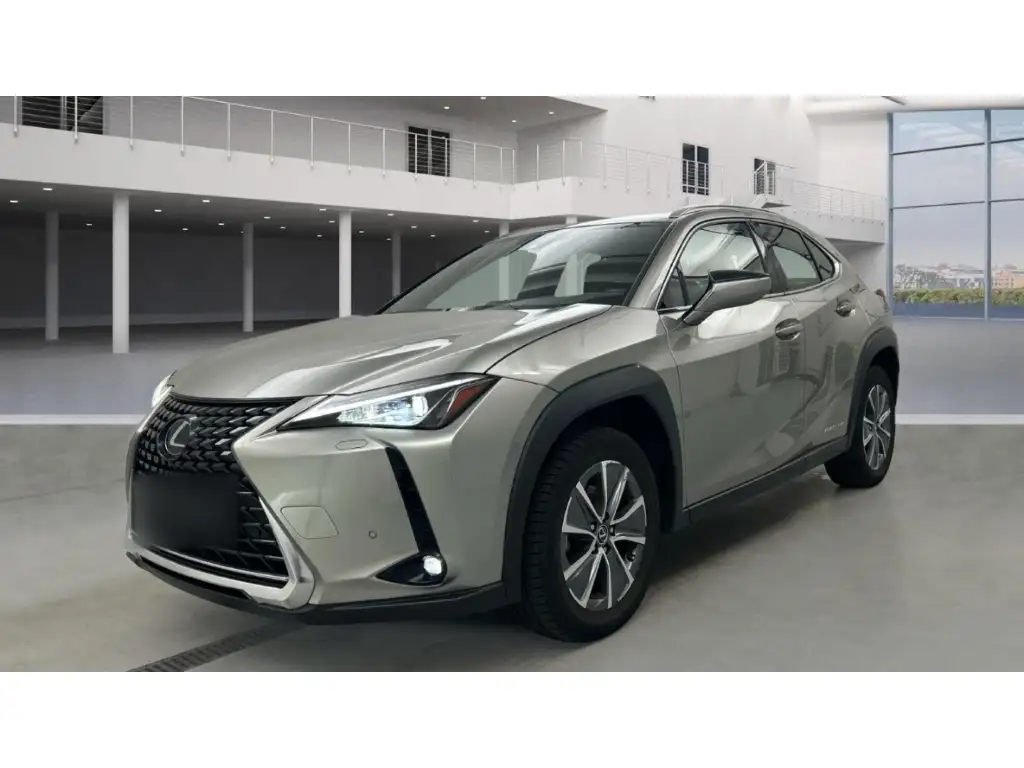 Lexus UX 300e Premium Kamera App-Navi LED Leder Sitzklima