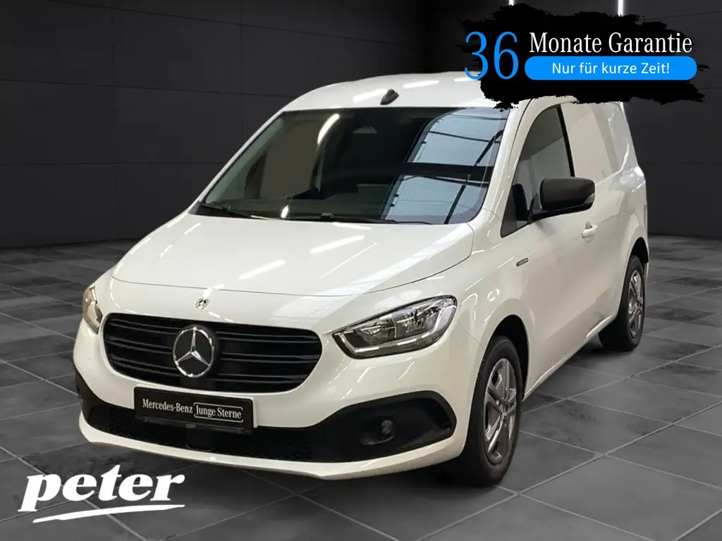 Mercedes-Benz Sonstige eCitan Kasten PRO  Hecktüren 180 Grad