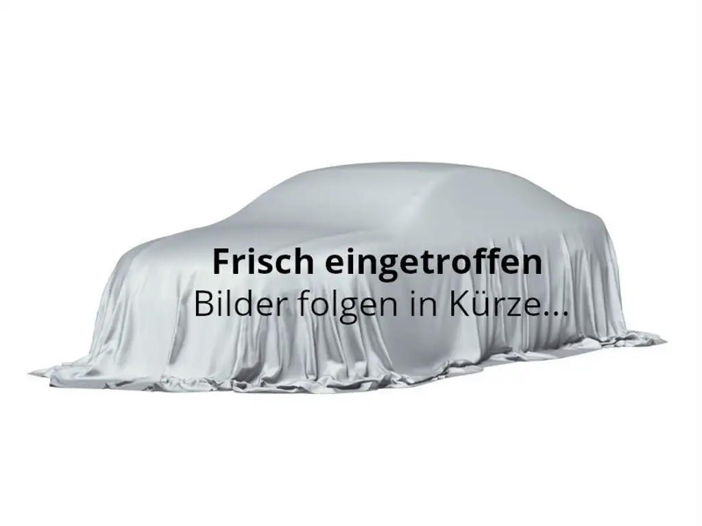 Hyundai KONA Elektro Kamera,PDC,Lenkrad+Sitzhzg.,CarPlay