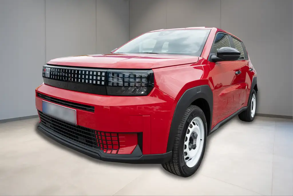 Fiat Sonstige Elektro RED 118PS