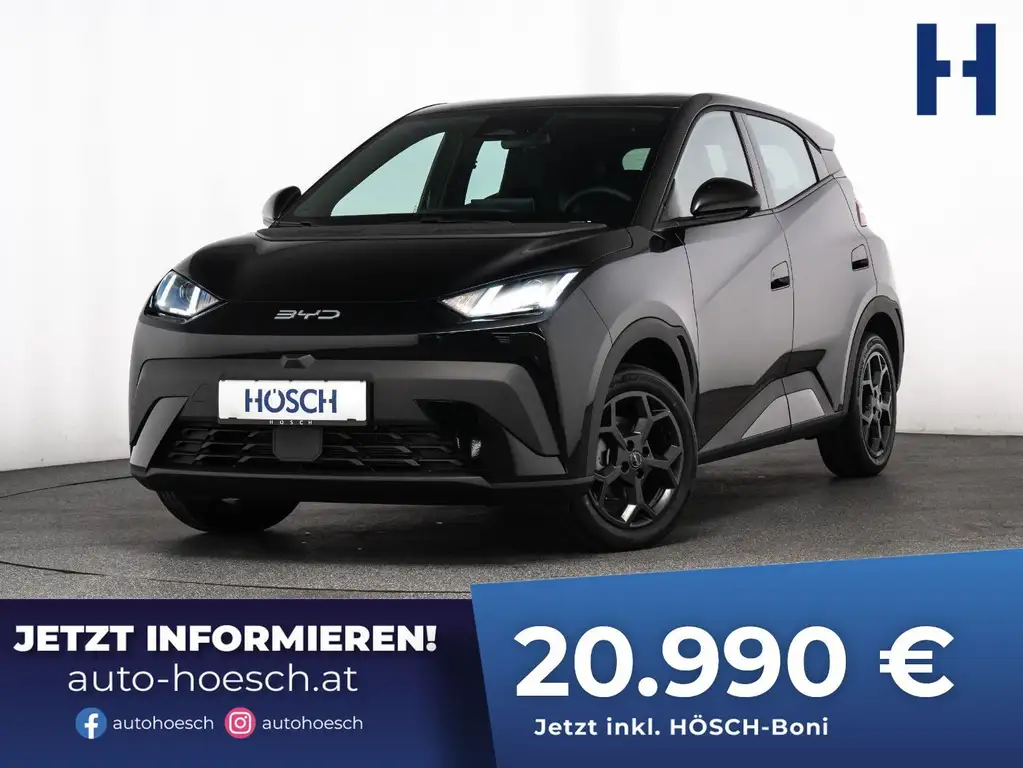 BYD Dolphin Surf BOOST 43 kWh LEDER KAMERA NEUWAGEN