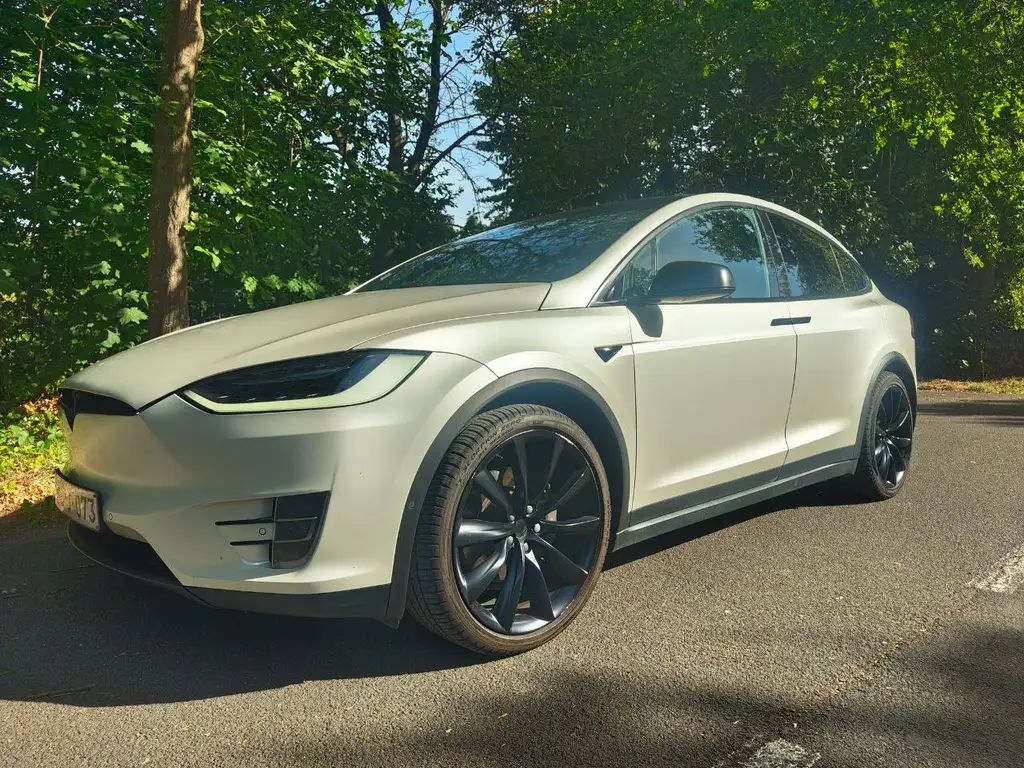 Tesla Model X Model X 100 kWh Dual Motor